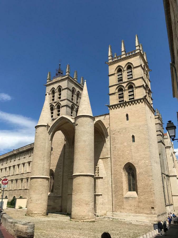 Superbe! Loft T3 -Ctre Historic- Prox. Place Comedie Montpellier Buitenkant foto